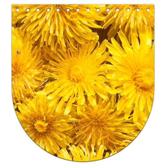 картинка крышка-клапан с цветочным принтом, желтые одуванчики, размер: 20х22см, для вязания рюкзаков из трикотажной пряжи, принт: Злата в наличии